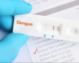 Negociações sobre autotestes para dengue estão em andamento | Jornal A Voz da Serra