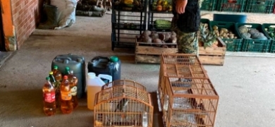 Bananas de dinamite, armas e pássaros são apreendidos em Nova Friburgo | A Voz da Serra